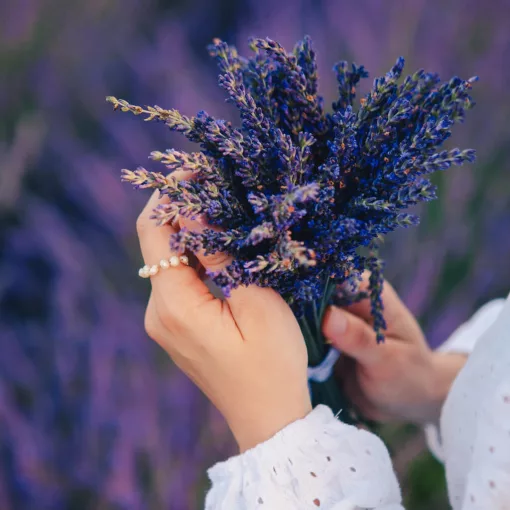 100% Tisztaságú Levendula Illóolaj