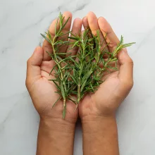 100% Tisztaságú Rozmaring Illóolaj