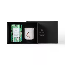 Moya Sato Organikus Szálas Tea Szett - Matcha Iri Genmaicha 60 g