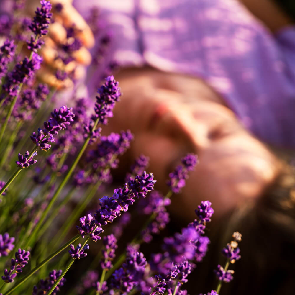 Levendula illóolaj hatása, használata és 10 bevált tipp