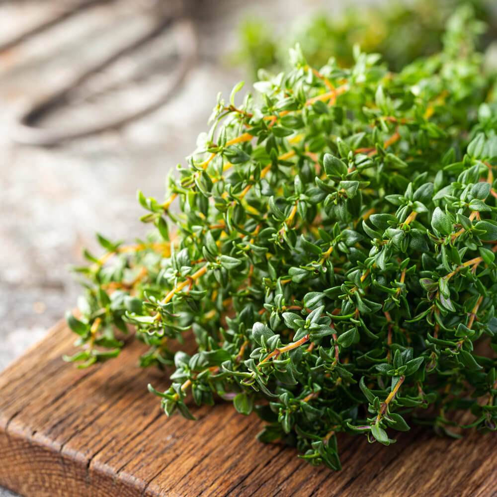 Kakukkfű illóolaj hatása, használata és 11 praktikus tipp