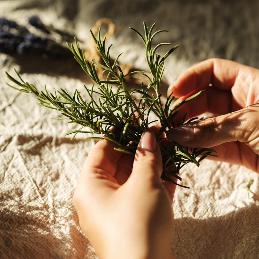 Rozmaring illóolaj hatása, használat és 12 bevált tipp